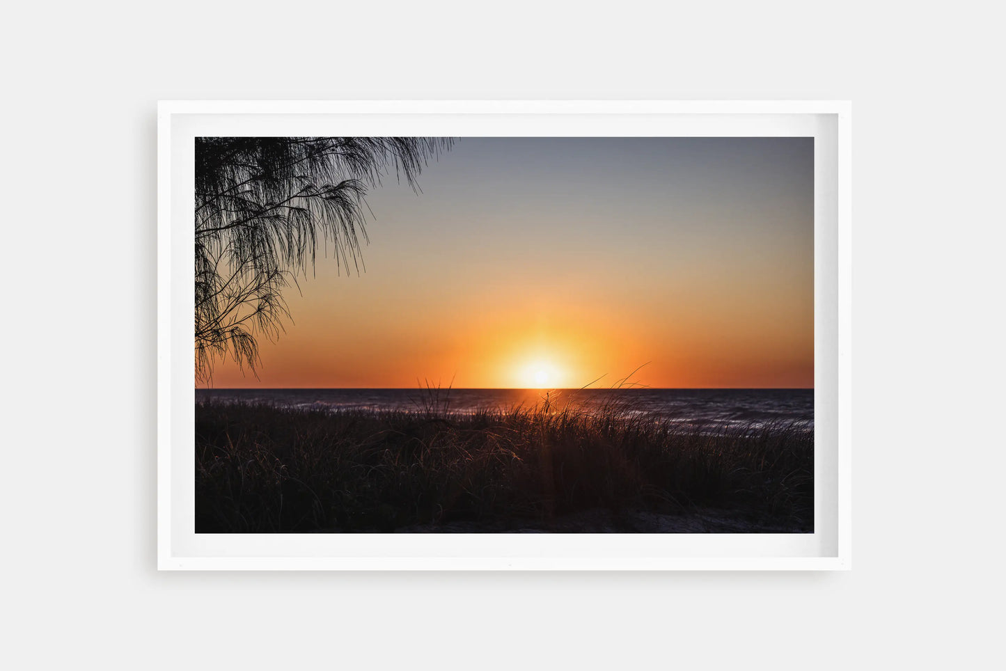 Coongul camp site on Fraser Island. Australian Landscape Wall Art Prints by Explore By More. White Oak Print.