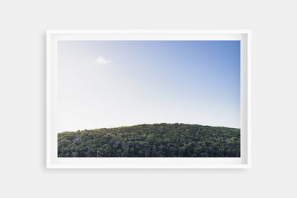 TREE TOPS