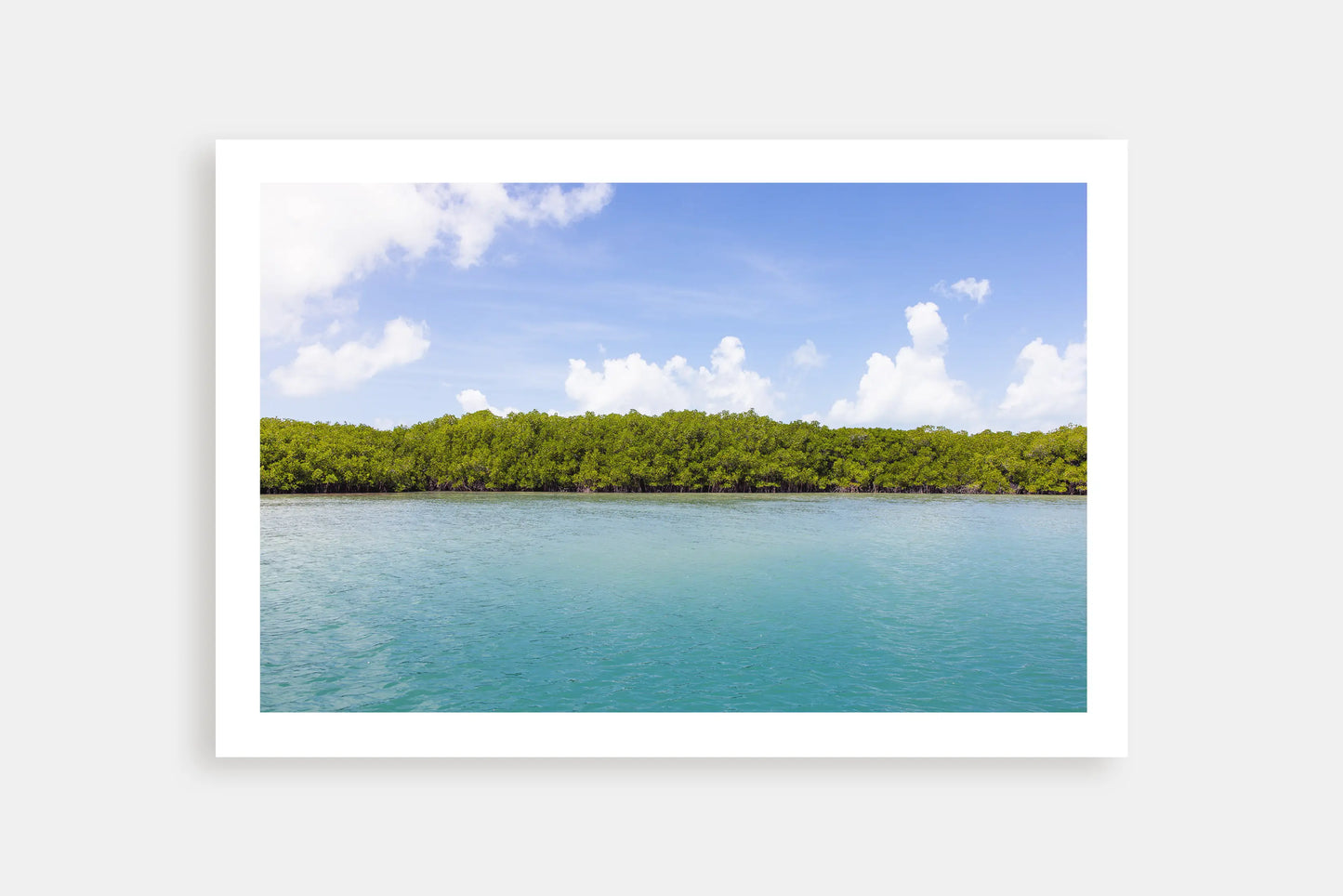 TROPICAL NORTH