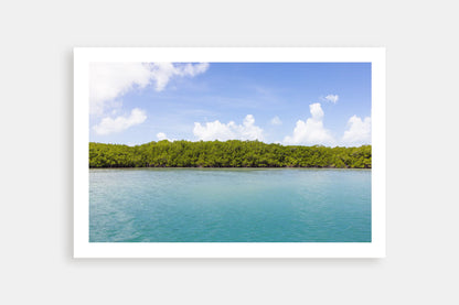 TROPICAL NORTH