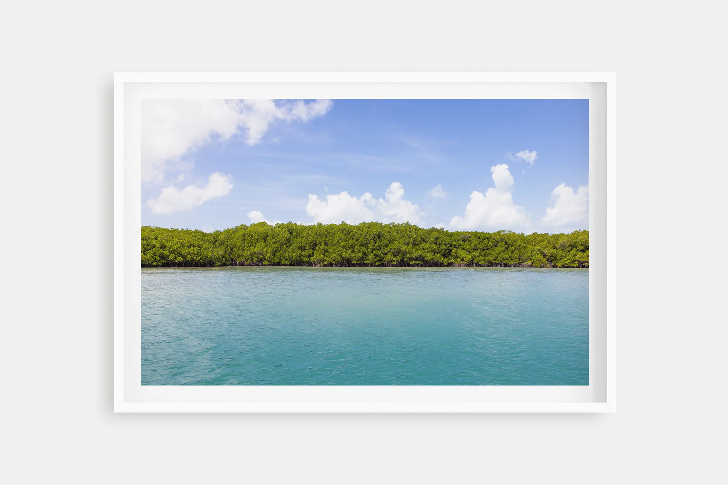 TROPICAL NORTH